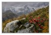 27/IMG_0386 site.jpg